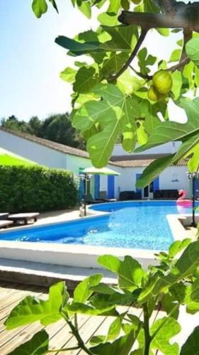 La Villa du Menhir Gîte chambre d'hôte Bize-Minervois