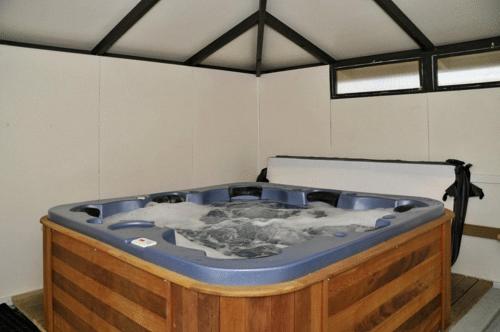 Accent On Taupo Motor Lodge - image 5