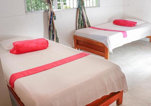 2 twin beds