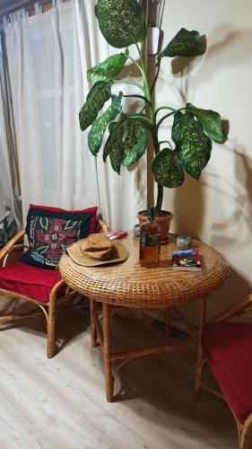 Evergreen Guesthouse