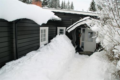 Seven-Bedroom Lodge