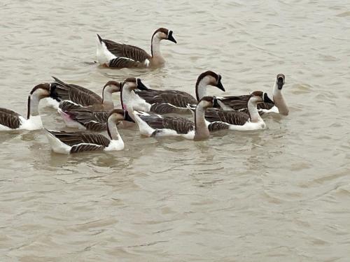 Busby Resort in Ta Phraya