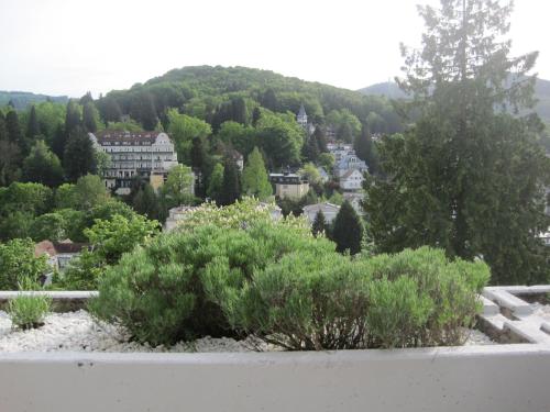 Appartement Panoramablick in Baden-Baden, Deutschland