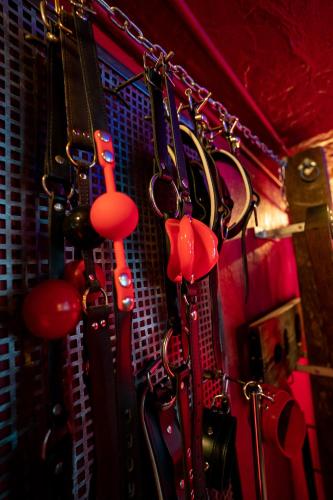 Brighton Erotic Boudoir - image 6