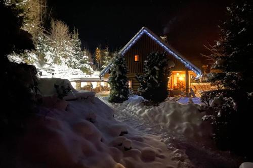 Wooden house in the heart of the Giant Mountains with own hill - Víchová nad Jizerou