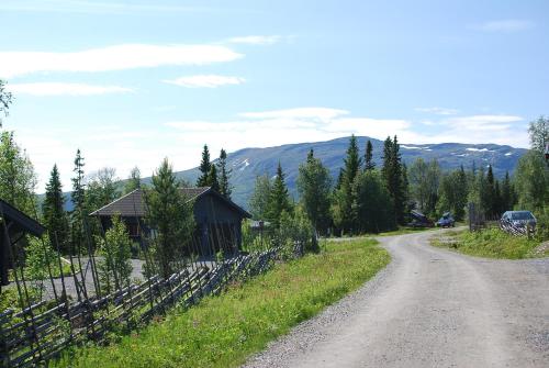 Ottsjö Bear Lodge