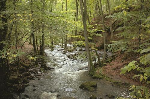 FEWO Hof Elbbachtal