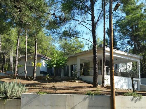 Moniatis Villa