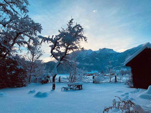 Holidaysun Chalet Lucky Detached Villa 1000 qm garden mountainview BBQ&bikes&sunbeds for free - image 12