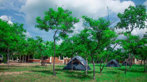 MANTIS LODGE & CAMPING SITE