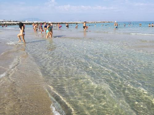 Terra Sinus Beautiful Suite