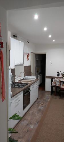 Apartman Sara - Delnice in 代爾尼采