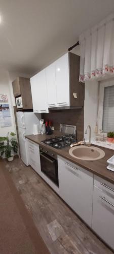 Apartman Sara - Delnice in 代爾尼采