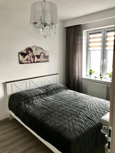 . Apartament na Skrzypka
