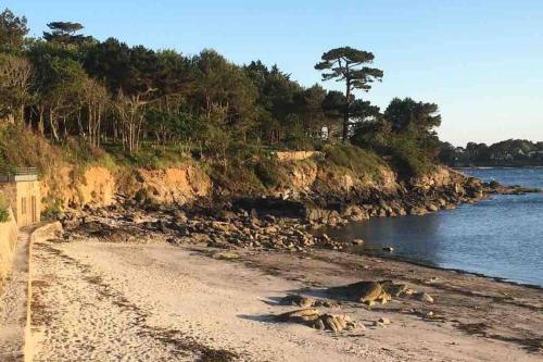 L'olivier du Cabellou, à 900 m des plages