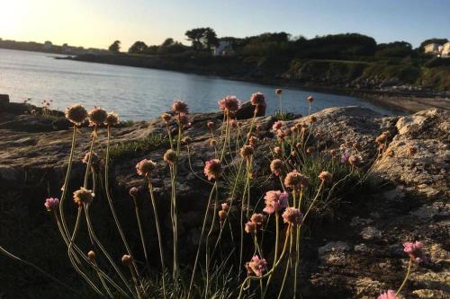 L'olivier du Cabellou, à 900 m des plages