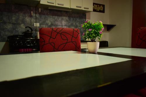 . Departamento amoblado alquiler semestral
