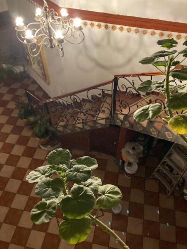 Real Santo Domingo – Oaxaca, NE