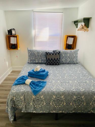 Tampas Secret in Tampa, USA