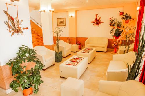 Фойє, Hotel Darina in Тиргу-Муреш