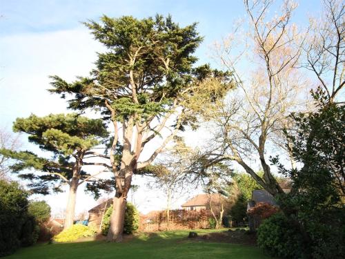 Ebury Hotel Cottages and Apartment's - image 4