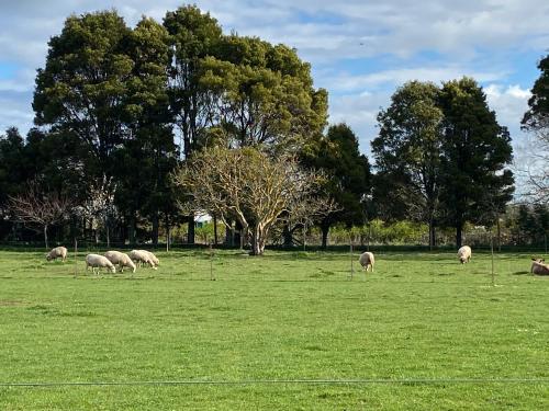 Country Retreats on Ranzau 1