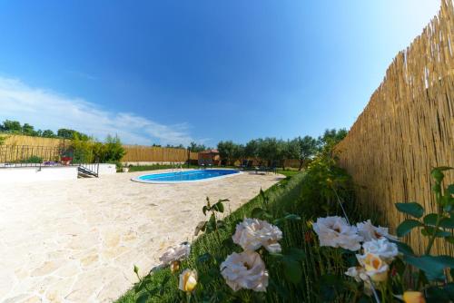 Three bedroom holiday home surrounded with olive trees - AE1182