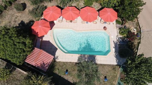 Hôtel des Vignes - image 7