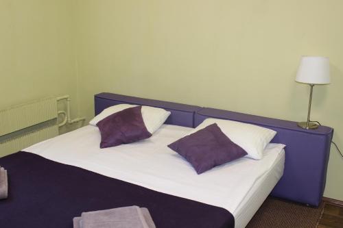 Yasenevo Hotel - image 11