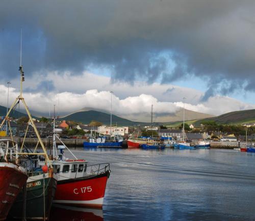 Dingle Benners Hotel - image 13