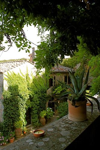 Castello di Montalto - 전망