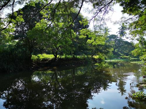 塞林迪村宾馆