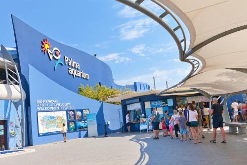 Son Veri Vell - image 11