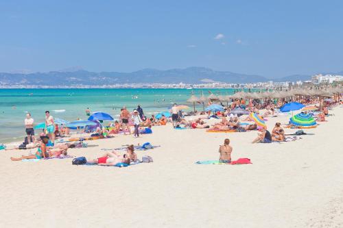 Son Veri Vell - image 10