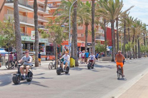 Son Veri Vell - main image