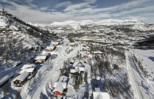Mediu înconjurător, Storelia in Hemsedal