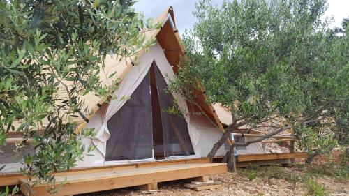 Camping Aloa 4