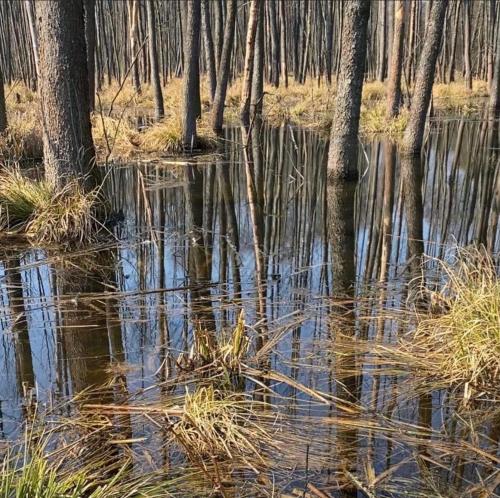 Moje Podlasie - Dom w Siemichoczach