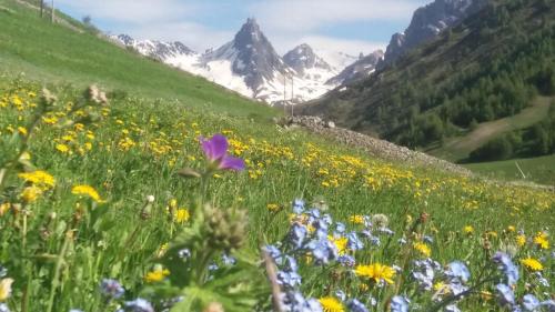 Aiguille Noire - image 9