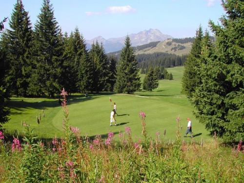 Just Morzine - Chalet Luna