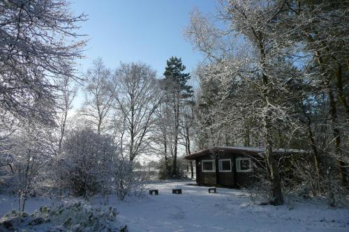 Finse Bungalow 4P, Comfort in Meppen