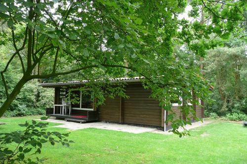  Finse Bungalow 4P, Comfort, Pension in Meppen