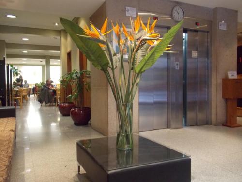 Lobby, Gran Hotel Atlantic in Balvanera