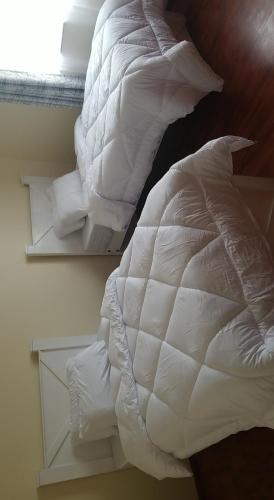 Audreys Hope Luxury Bed And Breakfast
