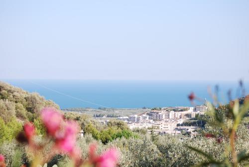 玛丹娜尹科罗娜塔农庄酒店