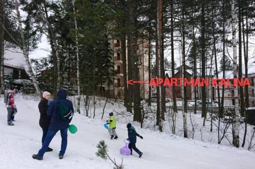 Apartman Kalina Zlatibor - image 3