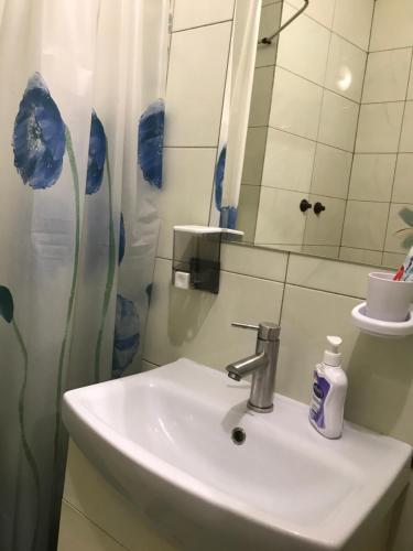 Центр пл Старий ринок Apartment in the center of Lviv Поруч громадська парковка, Lviv (foto 4)