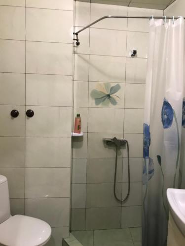 Центр пл Старий ринок Apartment in the center of Lviv Поруч громадська парковка, Lviv (foto 2)