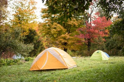 Tent