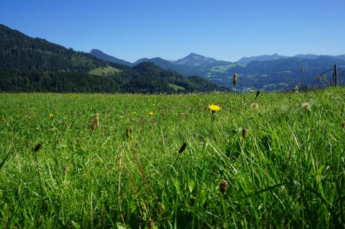 Hotel zur Post